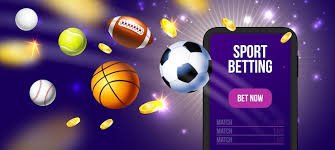 betbuzz365